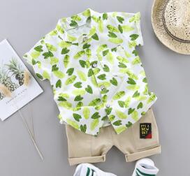 Dinosaur Print Short Sleeve Shirt + Pants